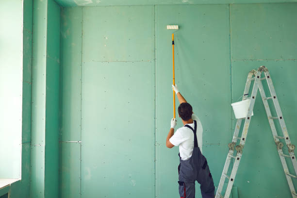Best Attic Mold Removal  in Seeley Lake, MT