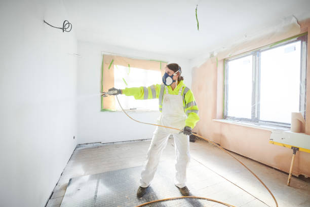 Mold Documentation for Insurance Claims in Seeley Lake, MT