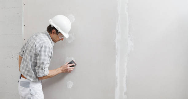 Best Mold-Related Health Consultation  in Seeley Lake, MT