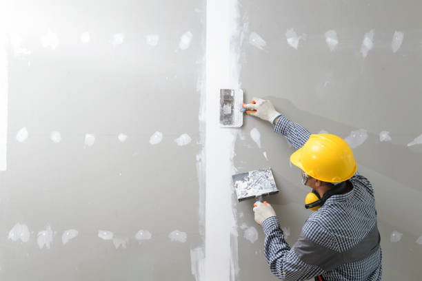 Best Post-Construction Mold Inspection  in Seeley Lake, MT