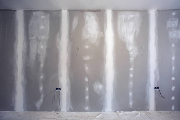 Environmental Consulting for Mold Prevention in Seeley Lake, MT